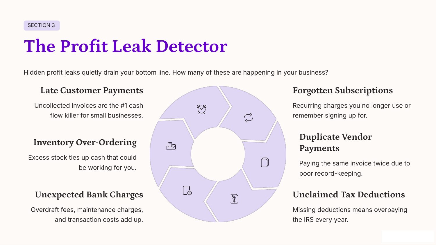 Slide 6: Section 3, The Profit Leak Detector